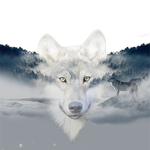 Wolf Extinction Poster, a Photoshop composite digital illustration by designer Christine Peacock of Image Magic Digital Studios