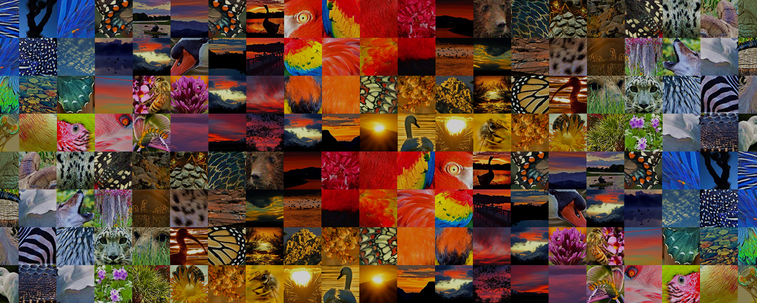 Photoshop montage created for photoWorks.pics website for photographer Liz Moffet Breault